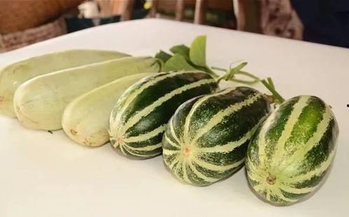 娱乐网红热点吃瓜,娱乐圈幕后真相曝光