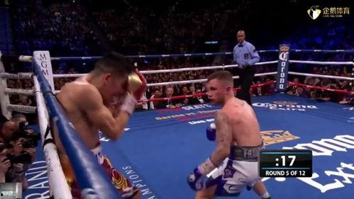 吃瓜娱乐拳击比赛直播视频