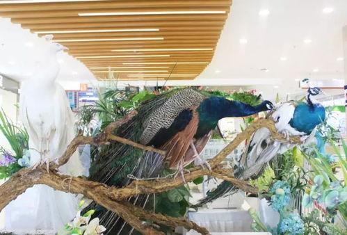 郑州公司吃瓜娱乐